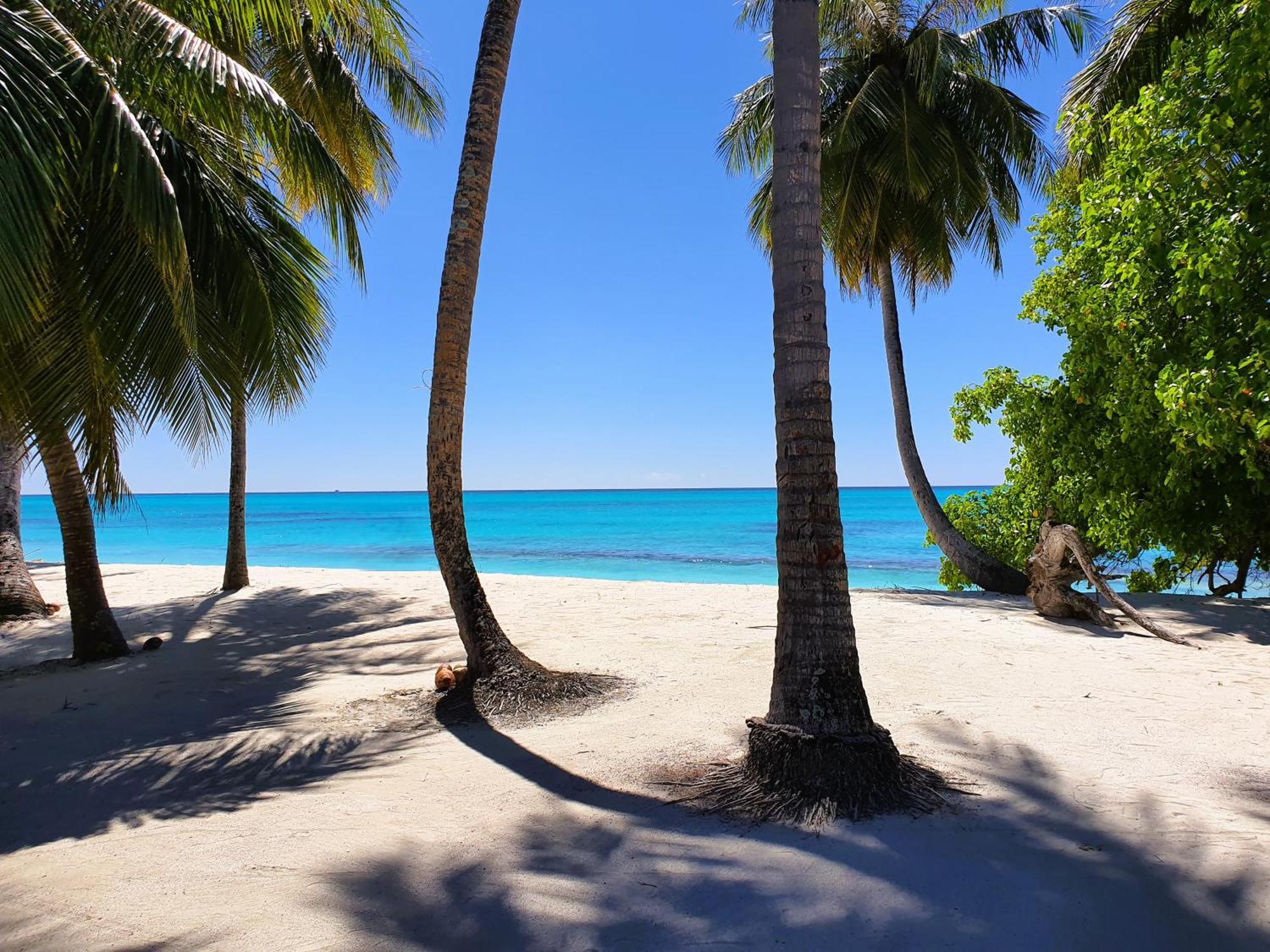 The Fulhadhoo Beach Cottage Εξωτερικό φωτογραφία